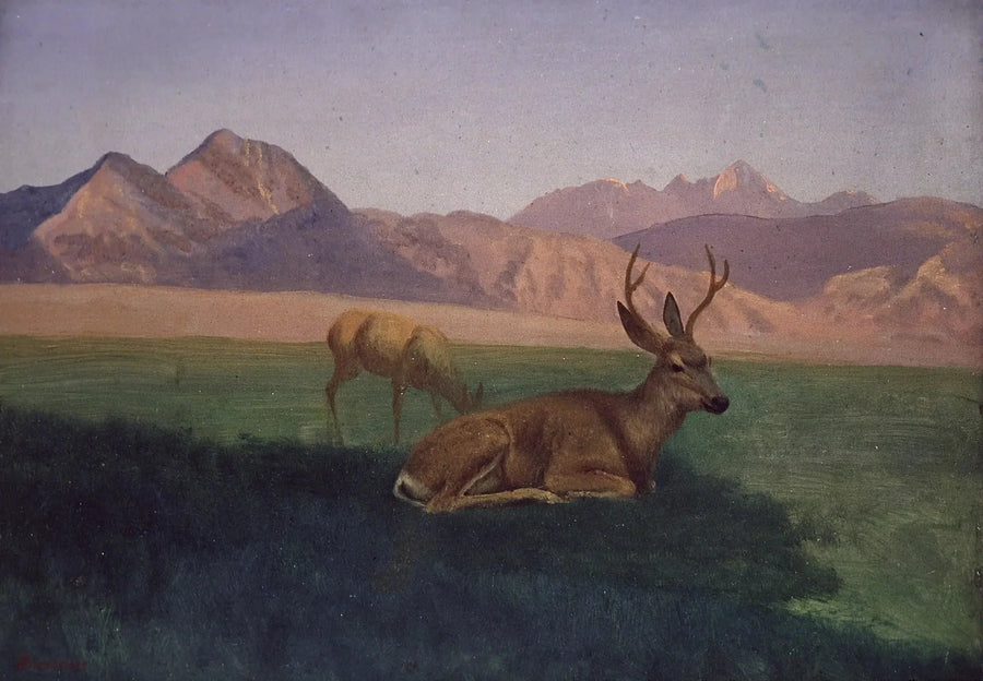 사슴 - 알버트 비어슈타트

Source:
Cerf - Albert Bierstadt
