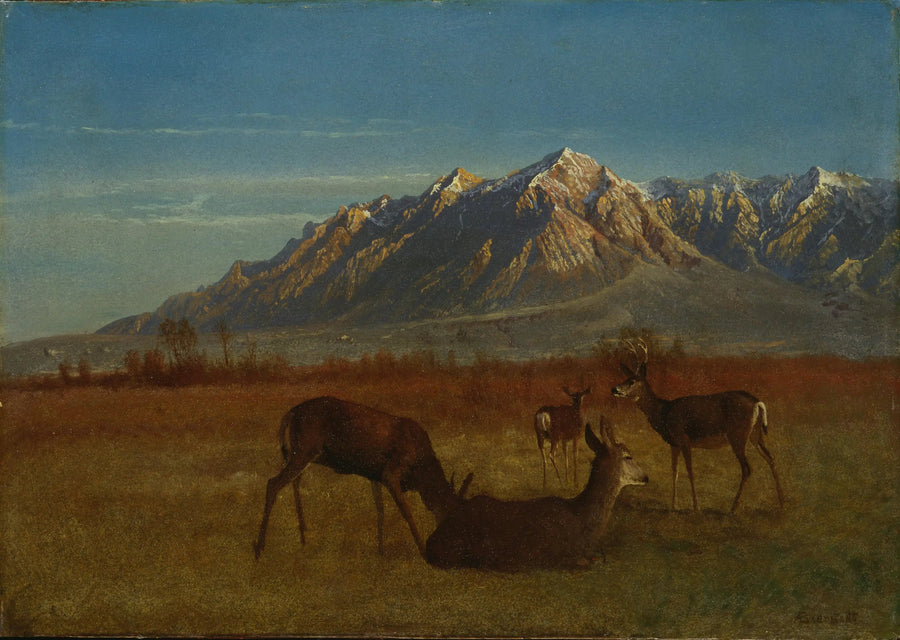 산속 집에 있는 사슴 - 알버트 비어슈타트

Source:
Cerf dans une maison de montagne - Albert Bierstadt