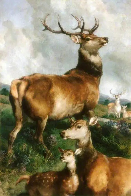 칠링엄 공원 사슴, 노섬벌랜드 - 에드윈 헨리 랜드시어

Source:
Cerfs du parc de Chillingham, Northumberland - Edwin Henry Landseer