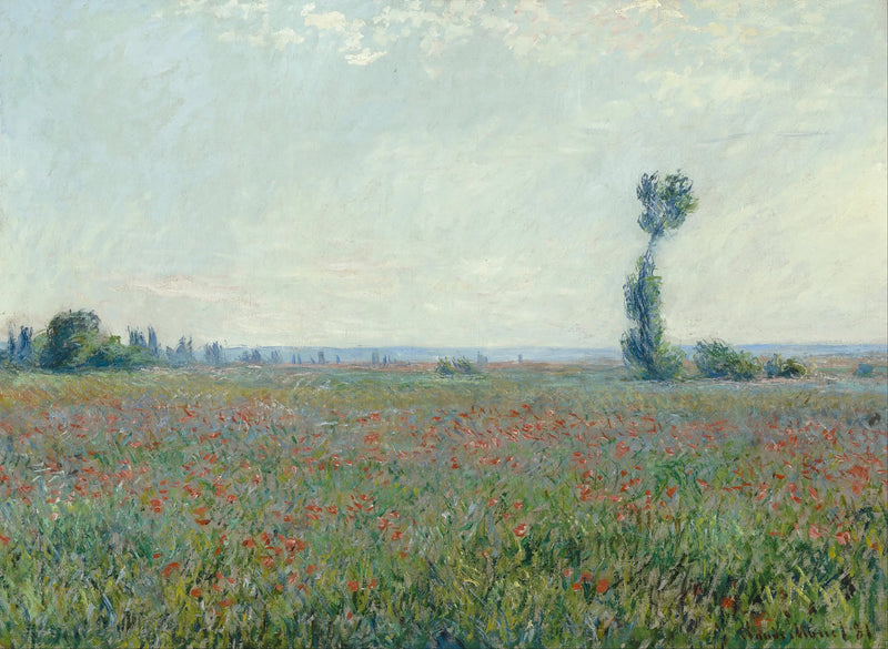 양귀비 밭 - Claude Monet