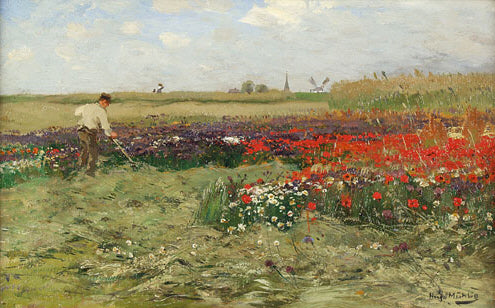 Champ de coquelicots en fleurs – Hugo Mühlig