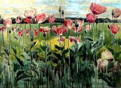 Champ de coquelicots – Karl Hagemeister