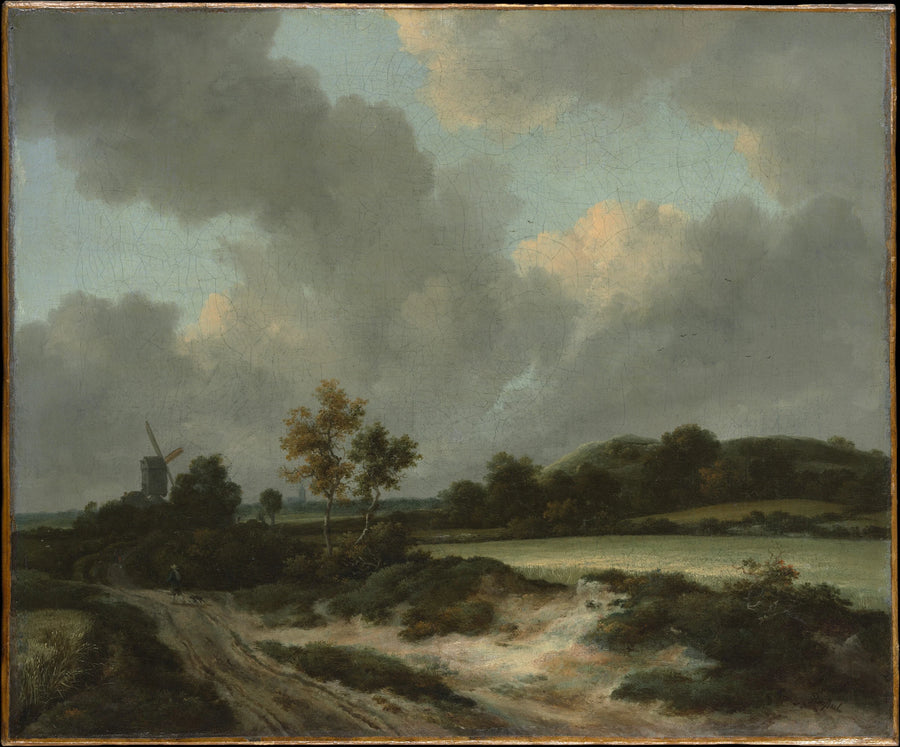 Champs de céréales - Jacob van Ruisdael