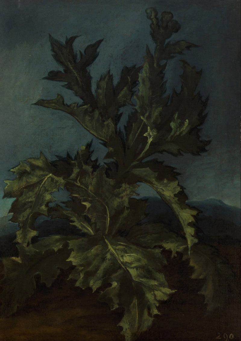 샤르동 - 카를로 돌치