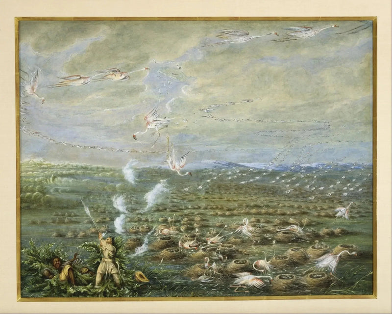 남미에서의 분홍 플라밍고 사냥 - 조지 캐틀린

Source:
Chasse aux flamants roses en Amérique du Sud - George Catlin