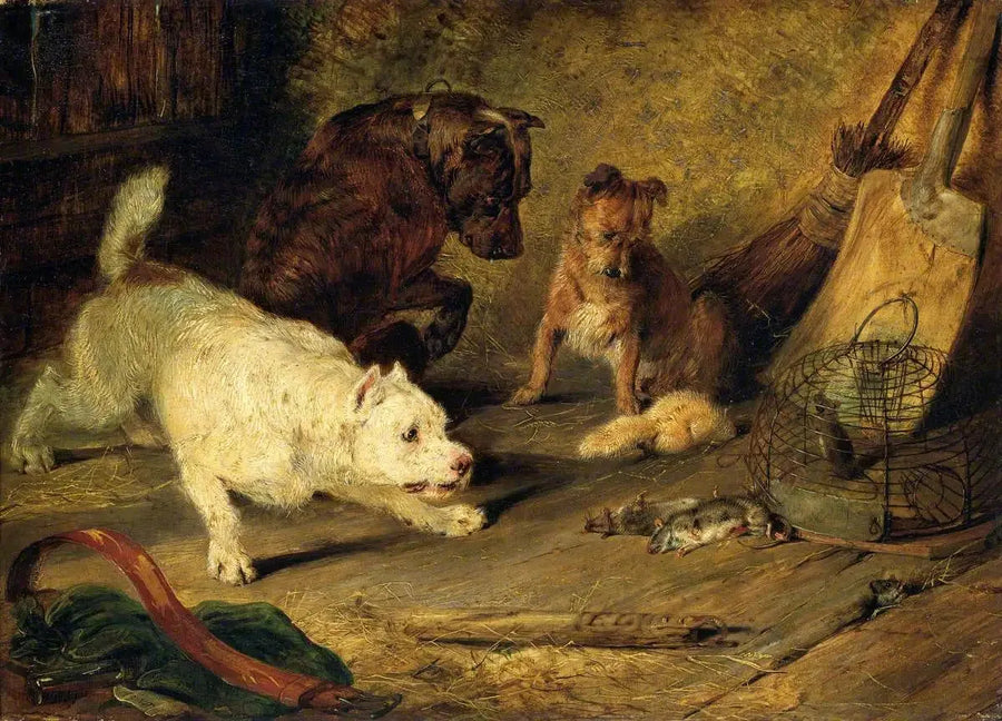 쥐 사냥꾼 - 에드윈 헨리 랜드시어

Source:
Chasseurs de rats - Edwin Henry Landseer