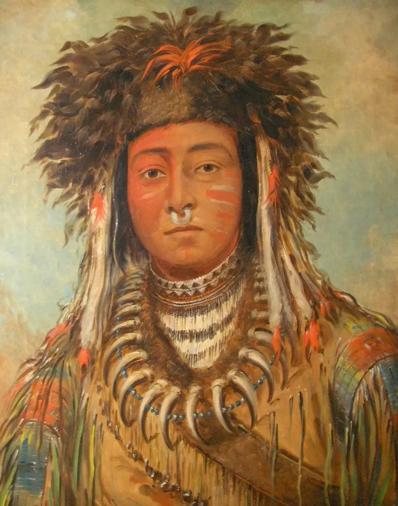 소년들의 우두머리 - 오지베웨이 - 조지 캐틀린

Source:
Chef des garçons - Ojibbeway - George Catlin
