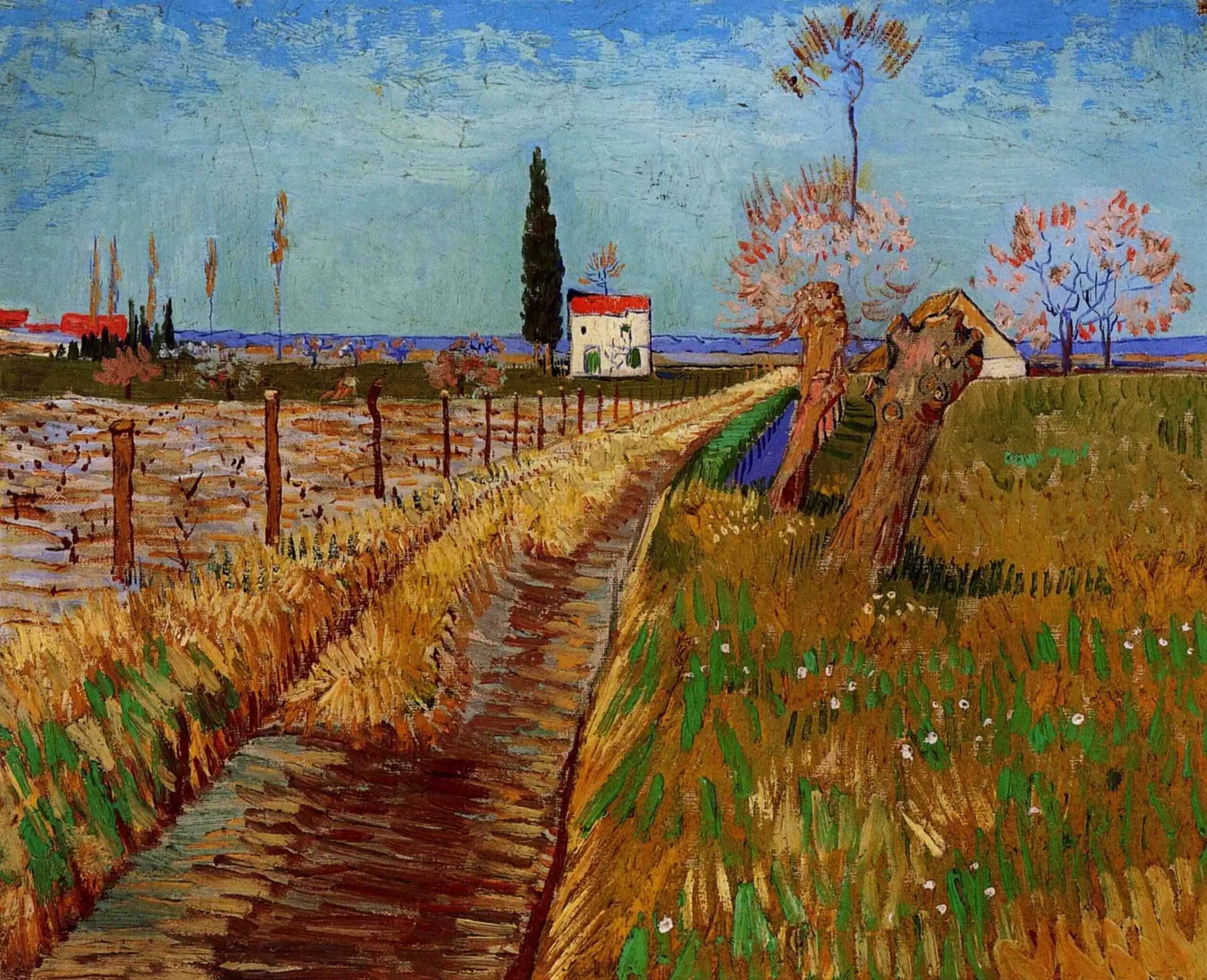 Chemin à travers un champ de saules - Vincent van Gogh image 1 tableau peint à l’huile sur toile