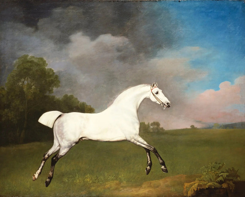초원에서 달리고 있는 회색 말 - 조지 스텁스

Source:
Cheval gris galopant dans un champ - George Stubbs