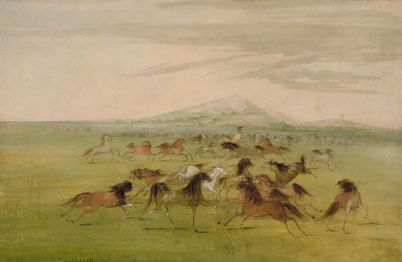 경마하는 야생 말들 - 조지 캐틀린

Source:
Chevaux sauvages en jeu - George Catlin