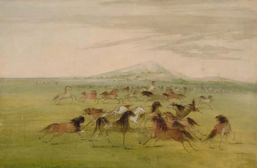 경마하는 야생 말들 - 조지 캐틀린

Source:
Chevaux sauvages en jeu - George Catlin