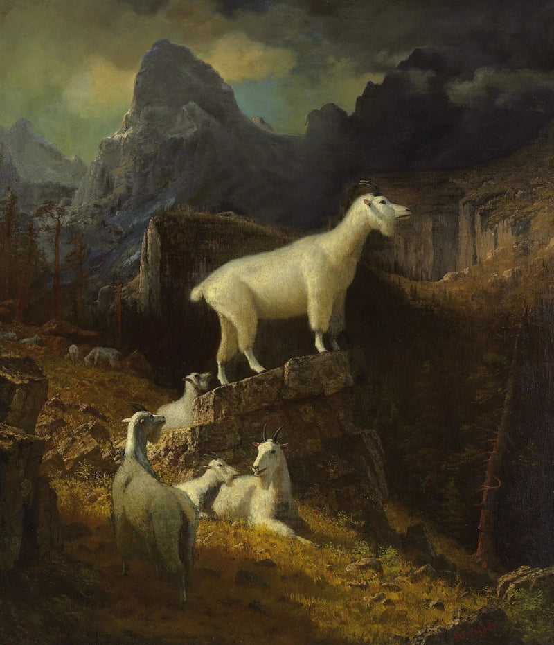 로키 산맥의 염소 - 알버트 비어슈타트

Source:
Chèvres des montagnes Rocheuses - Albert Bierstadt