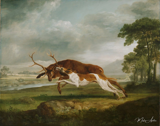 Chien courant sur un cerf - George Stubbs - Reproductions de tableaux et peintures haut de gamme