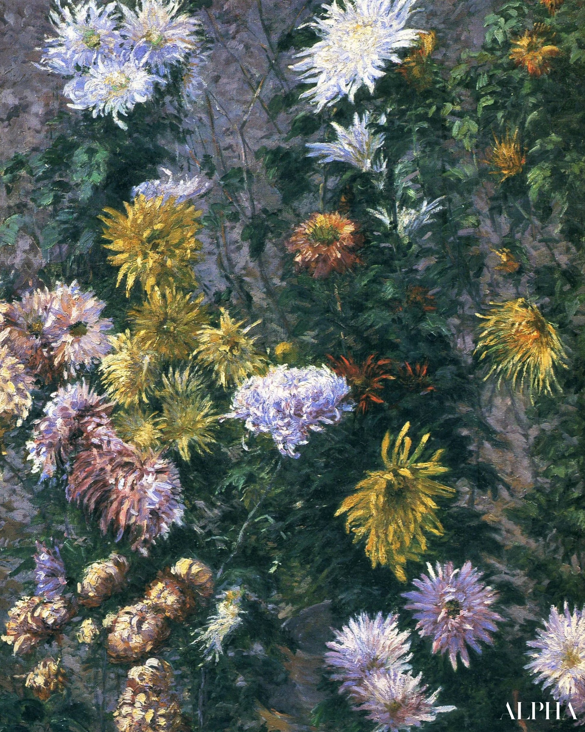 흰색과 노란색 국화 - Caillebotte - 고급 그림 및 회화 복제