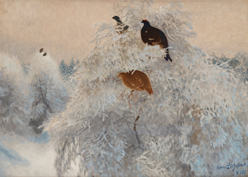 Cimes d'arbres blanches en hiver avec des tétras lyres - Bruno Liljefors