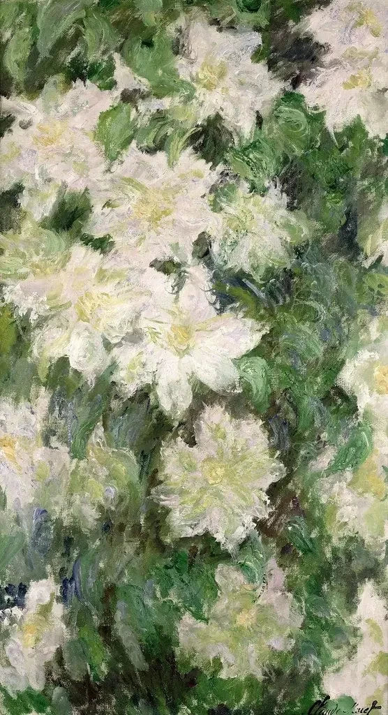 흰색 클레마티스 - Claude Monet