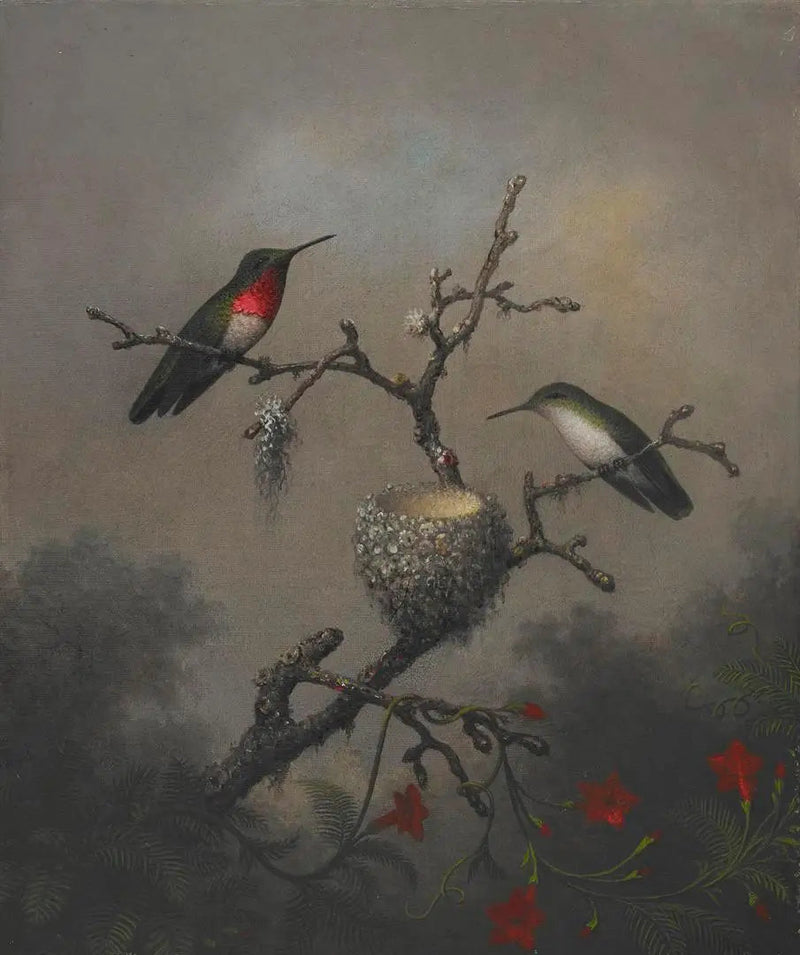 루비 목이 콜리브리 - 마틴 존슨 헤이드

Source:
Colibri à gorge rubis - Martin Johnson Heade