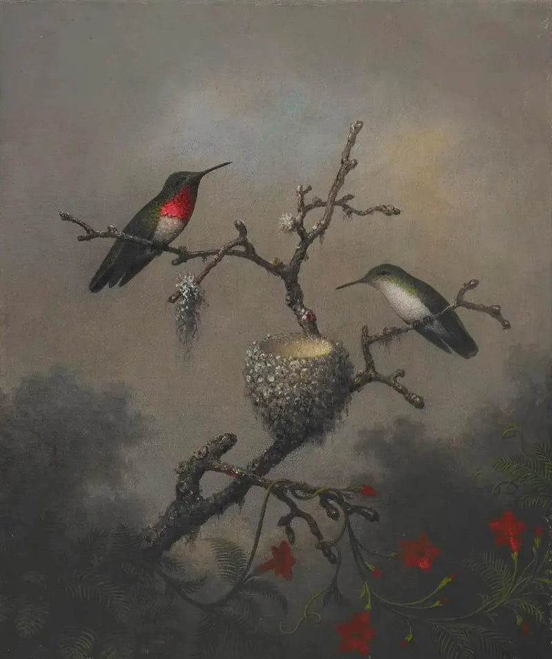 루비 목이 콜리브리 - 마틴 존슨 헤이드

Source:
Colibri à gorge rubis - Martin Johnson Heade