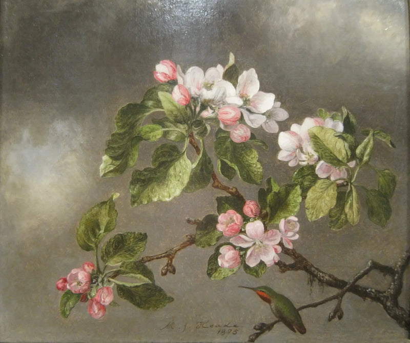 콜리브리와 사과나무 꽃 - 마틴 존슨 헤이드

Source:
Colibri et fleurs de pommier - Martin Johnson Heade