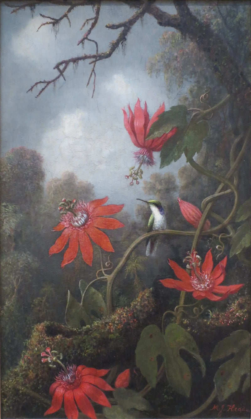 콜리브리와 패시플로레 - 마틴 존슨 헤이드

Source:
Colibri et passiflores - Martin Johnson Heade