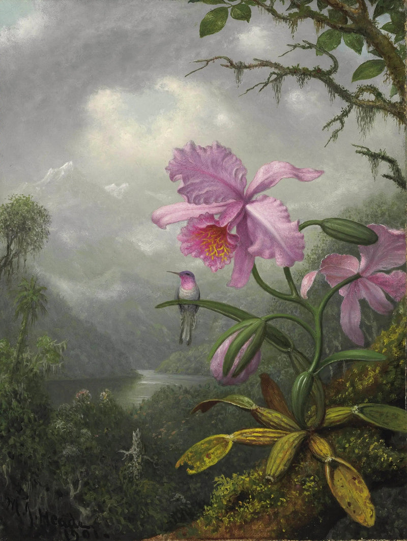 난초 식물 위에 앉아 있는 콜리브리 - 마틴 존슨 히드

Source:
Colibri perché sur la plante d'orchidée - Martin Johnson Heade