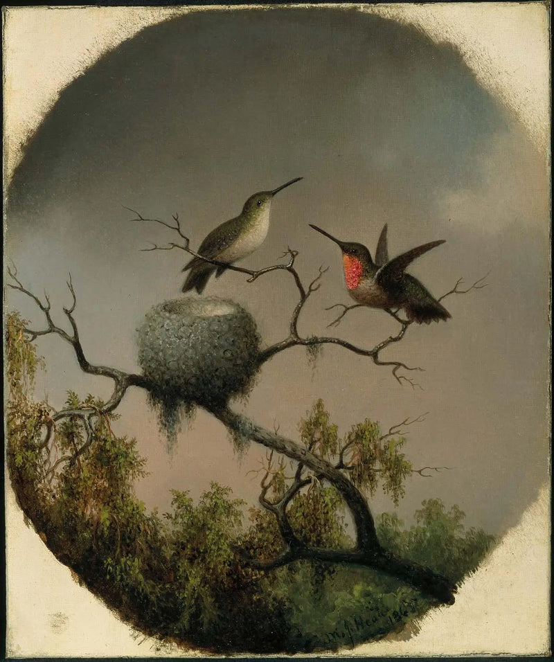 집이 있는 집앗새 - 마틴 존슨 헤이드

Source:
Colibris avec nid - Martin Johnson Heade