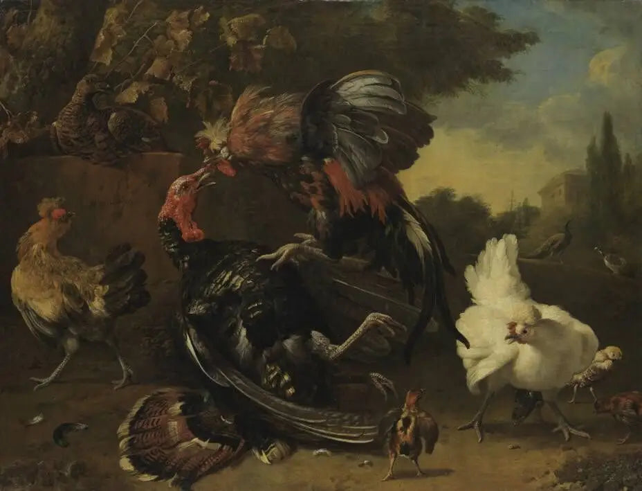 Combat entre un coq et une dinde - Melchior de Hondecoeter image 1 reproduction réalisée par Alpha Reproduction
