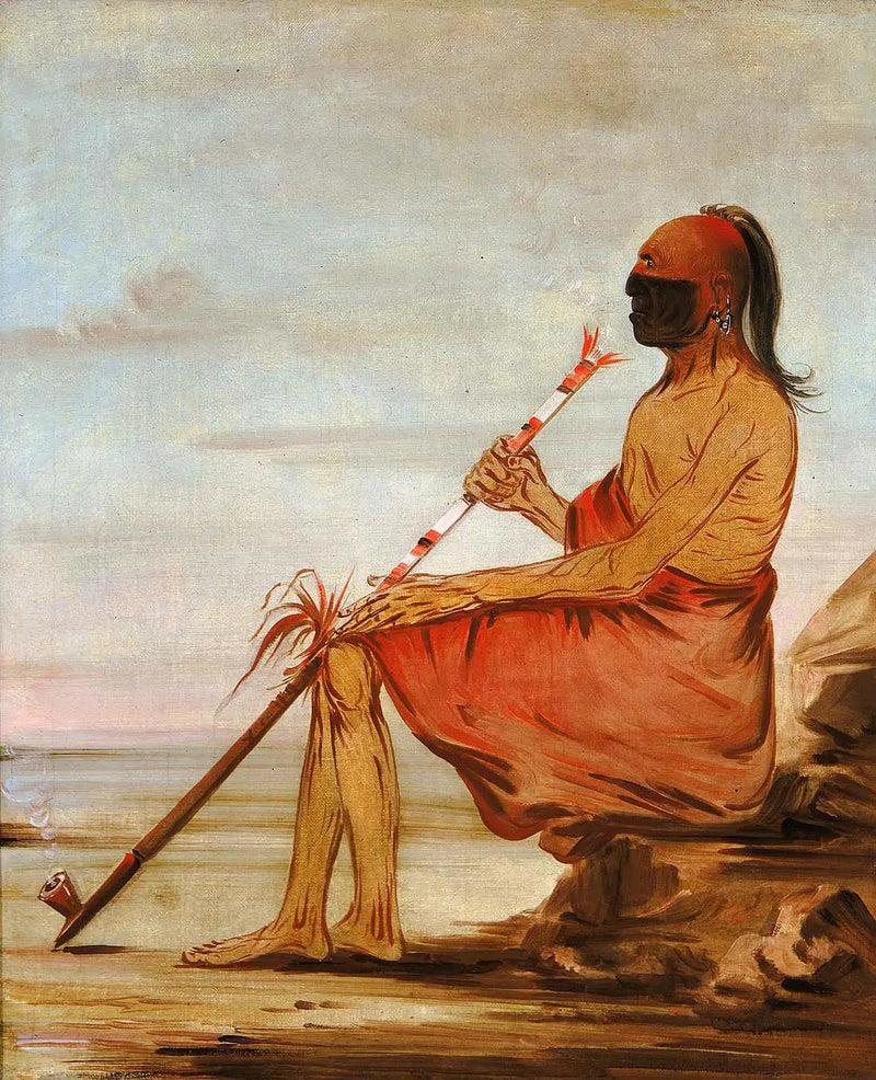 쿡-쿡-쿡, 부엉이, 노인 족장 - 조지 캐틀린

Source:
Coo-coo-coo, le hibou, un vieux chef - George Catlin