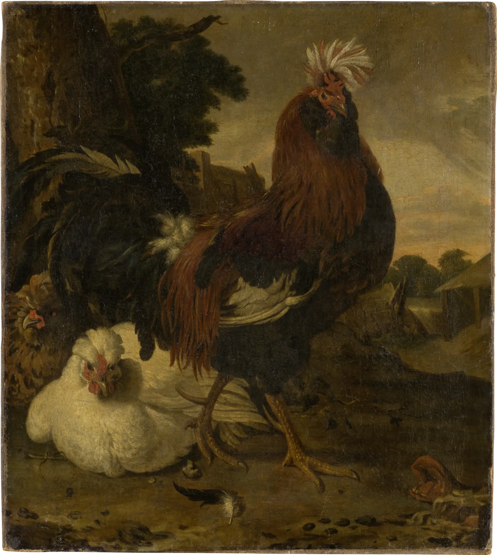 Coq dans une basse-cour - Melchior de Hondecoeter image 1 copie de tableau peinte à la main