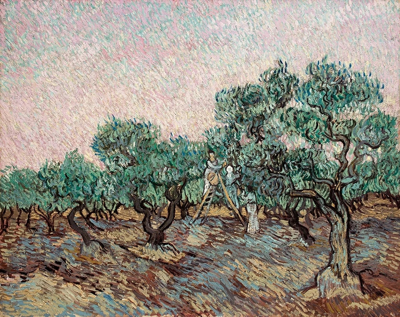 올리브 수확 - Vincent van Gogh