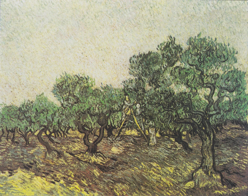 올리브 수확 - Vincent van Gogh