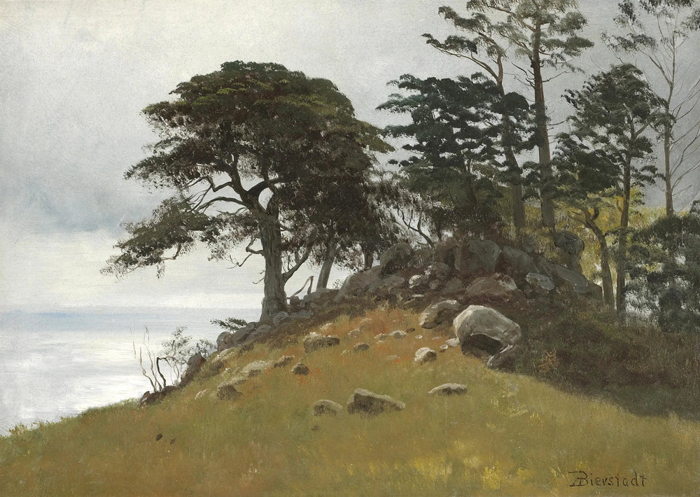 Cypress Point, Monterey - Albert Bierstadt image 1 copie de tableau peinte à la main