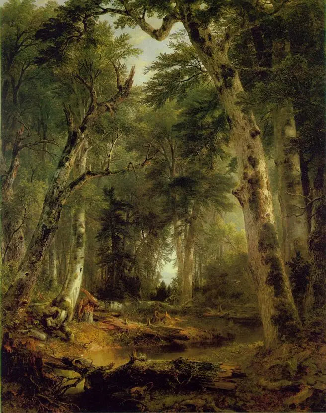 숲 속에서 - 애셔 브라운 듀란드

Source:
Dans les bois - Asher Brown Durand