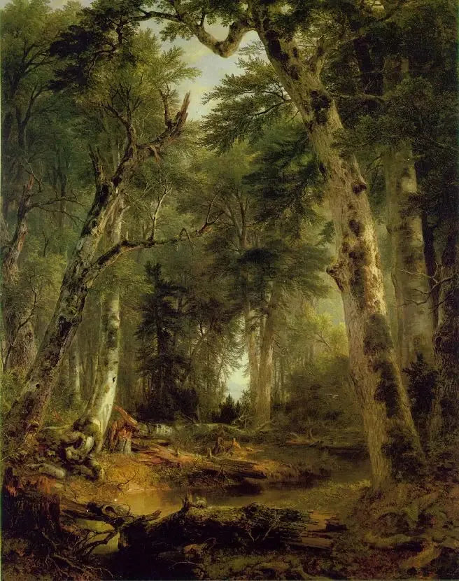 숲 속에서 - 애셔 브라운 듀란드

Source:
Dans les bois - Asher Brown Durand