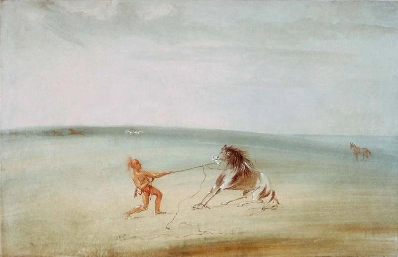 야생 말 해체도 - 조지 캐틀

Source:
Décomposer le cheval sauvage - George Catlin