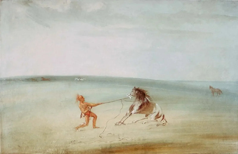 야생 말 해체도 - 조지 캐틀

Source:
Décomposer le cheval sauvage - George Catlin