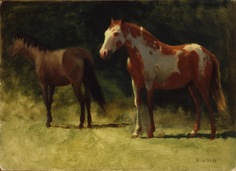 두 마리 말 - 알버트 비어슈타트

Source:
Deux chevaux - Albert Bierstadt