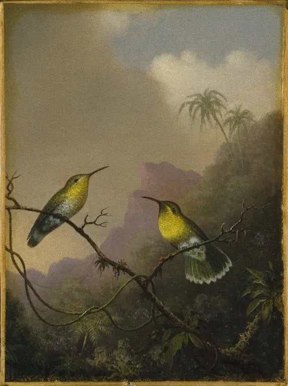 두 콜리브리 : 구리색 꼬리의 아마질리 - 마틴 존슨 헤이드

Source:
Deux colibris : l'amazili à queue cuivrée - Martin Johnson Heade