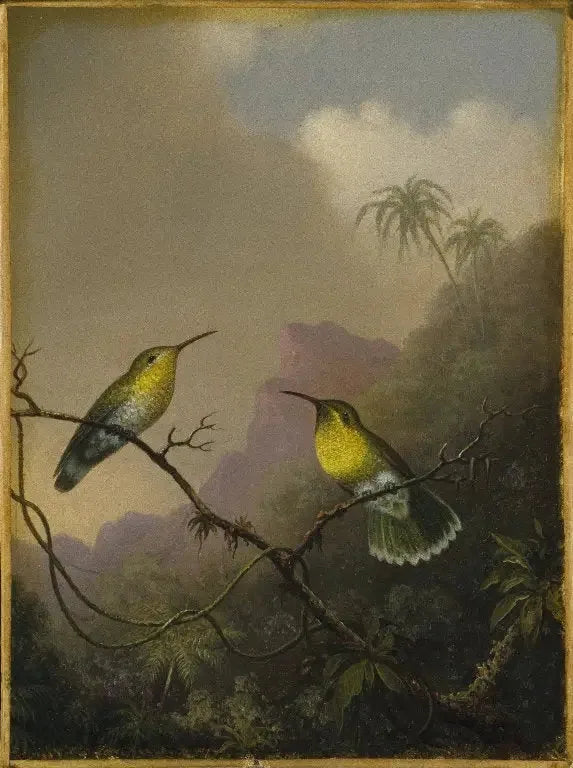 두 콜리브리 : 구리색 꼬리의 아마질리 - 마틴 존슨 헤이드

Source:
Deux colibris : l'amazili à queue cuivrée - Martin Johnson Heade