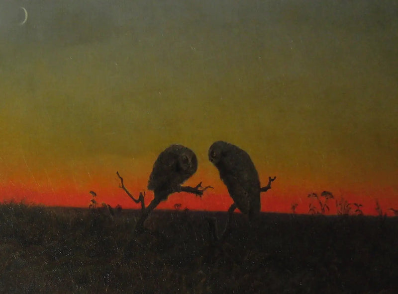 석양 속의 두 부엉이 - 마틴 존슨 히드

Source:
Deux hiboux au coucher du soleil - Martin Johnson Heade