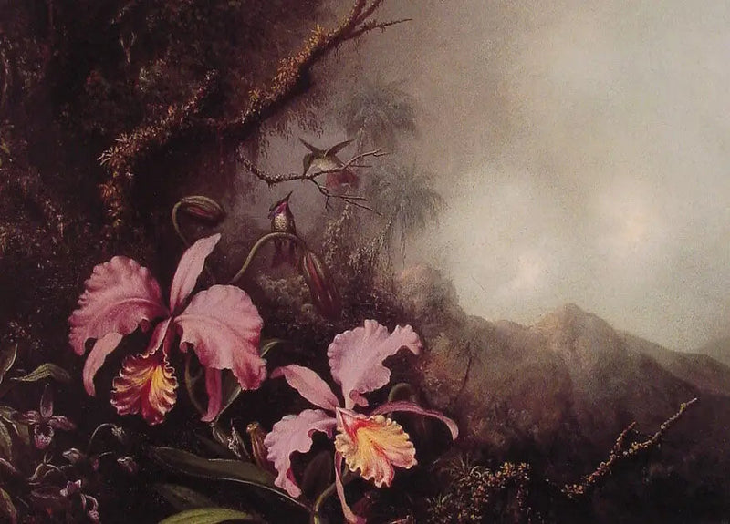 산 풍경 속의 두 난초 - 마틴 존슨 히드

Source:
Deux orchidées dans un paysage de montagne - Martin Johnson Heade