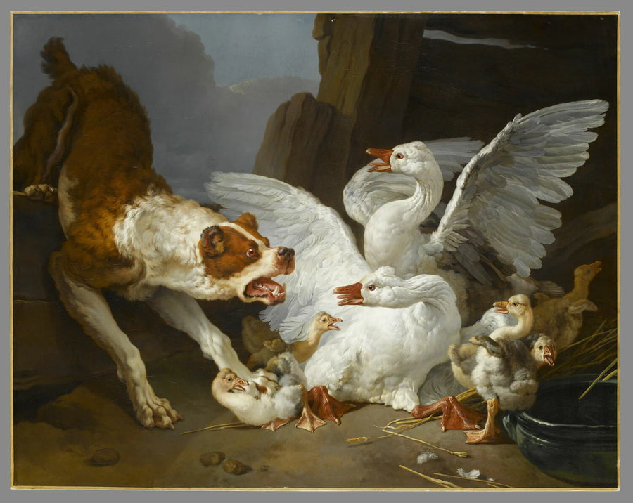Un Dogue se jetant sur des oies - Jean-Baptiste Huet