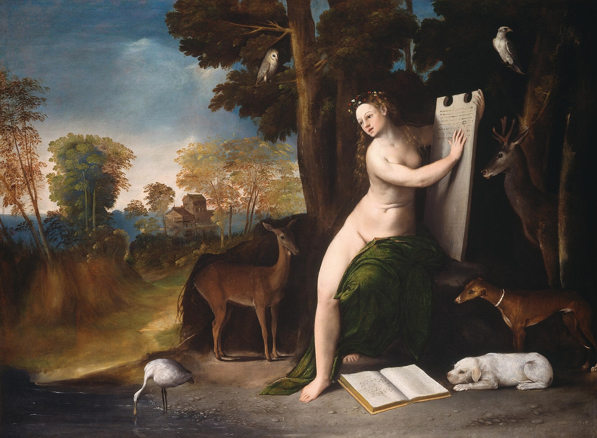 Circé et ses amants dans un paysage - Dosso Dossi