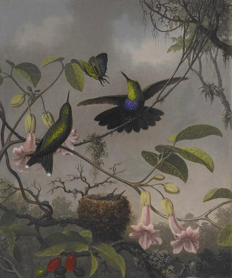 갈대와 갈래진 꼬리 - 마틴 존슨 헤이드

Source:
Dryade à queue fourchue - Martin Johnson Heade