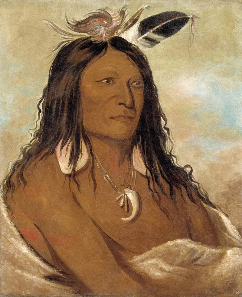 에샤코니, 아크와 활통, 부족의 수장 - 조지 캐틀린

Source:
Eé-shah-kó-nee, Arc et carquois, Premier chef de la tribu - George Catlin