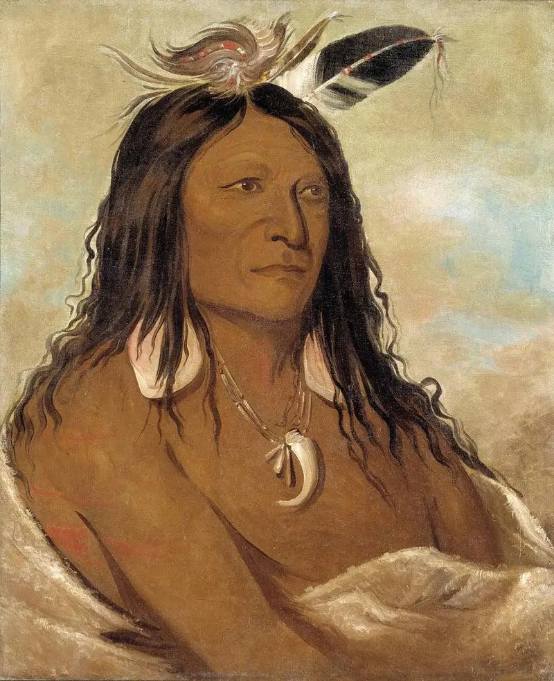에샤코니, 아크와 활통, 부족의 수장 - 조지 캐틀린

Source:
Eé-shah-kó-nee, Arc et carquois, Premier chef de la tribu - George Catlin
