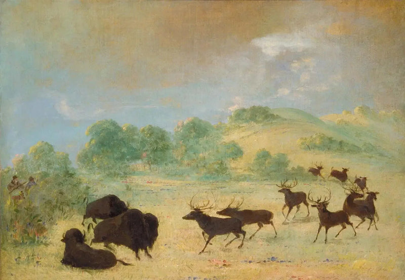 텍사스에서 만나는 엘란과 비손 - 조지 캐틀린

Source:
Élan et bison faisant connaissance, Texas - George Catlin