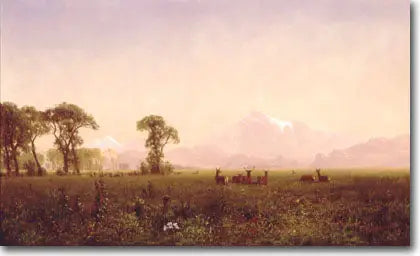 윈드 리버 지역에서 풀을 뜯는 엘란 - 알버트 비어슈타트

Source:
Élans broutant dans la région de Wind River - Albert Bierstadt