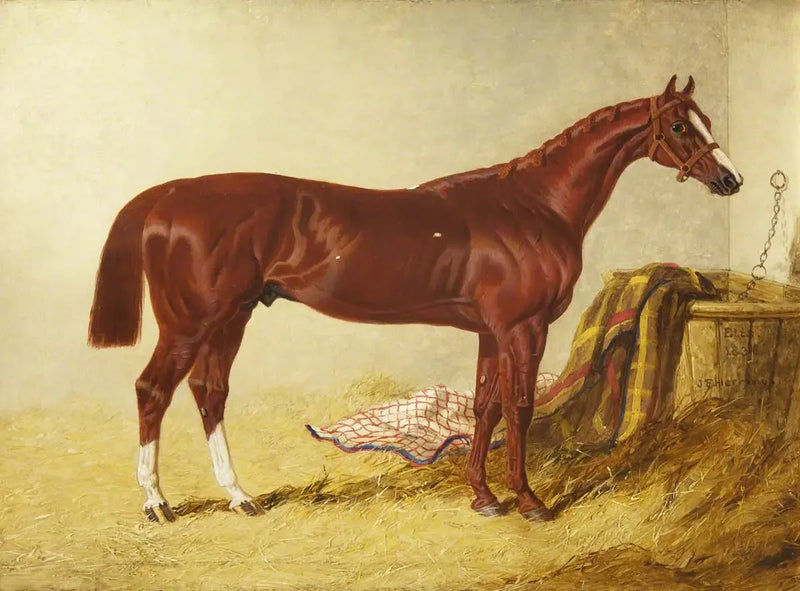 엘리스, 1836년 St Leger Stakes 우승자, 별도 구역에서 - 존 프레데릭 헤링, 시니어