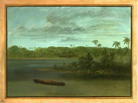 Embouchure du Rio Purus - George Catlin image 1 reproduction réalisée par Alpha Reproduction